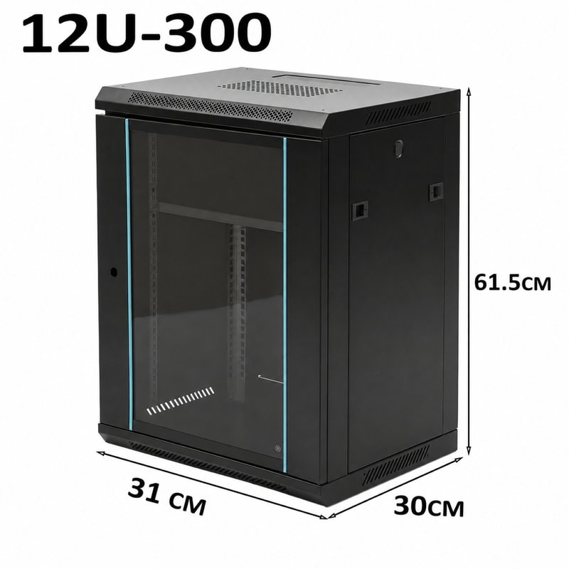 12U Black Server Rack Data Network Cabinet - Wall/Floor Mounted, Lockable